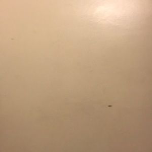 Meet your Posher, Ian